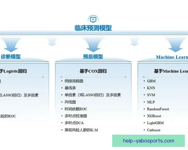 基于数据驱动与机器学习的西甲赛事预测模型构建与优化策略研究